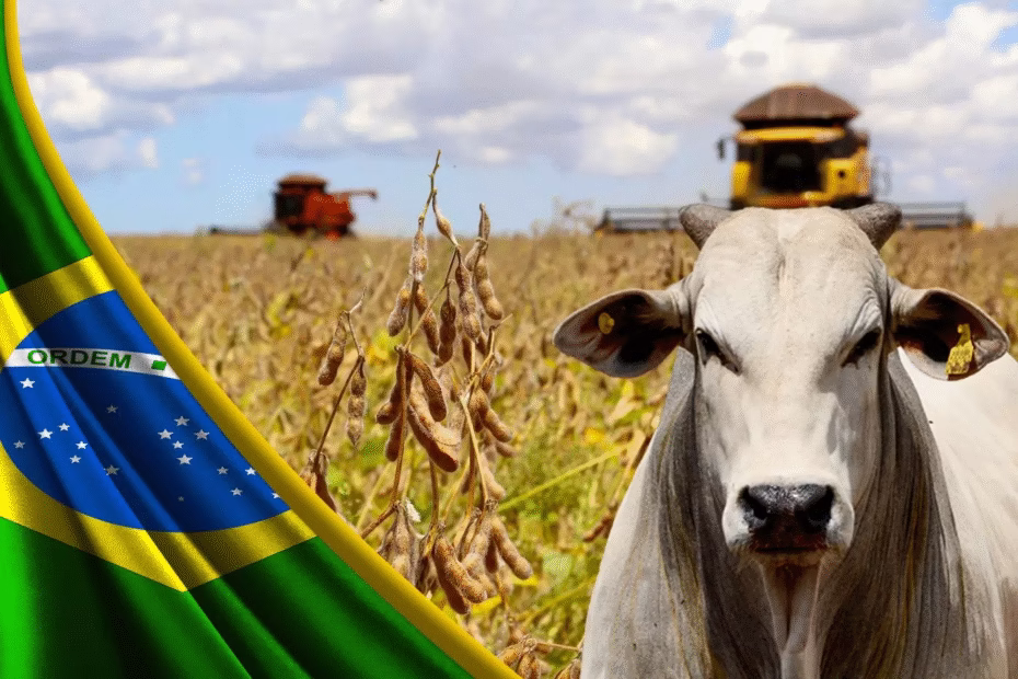agro brasil