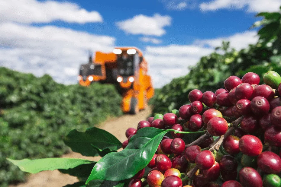 maiores produtores de café do mundo